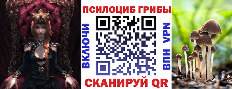 Псилоцибиновые грибы Cubensis даркнет сайт Сухой Лог